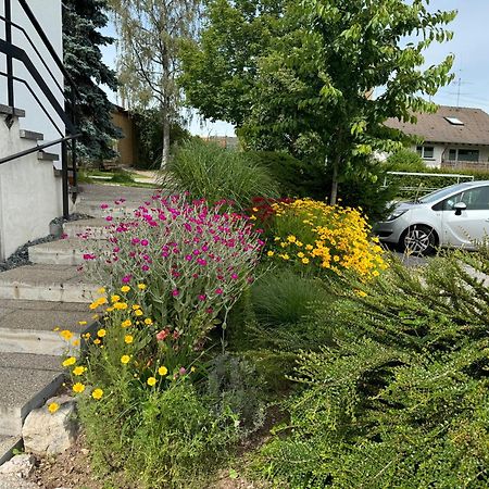 Haus Waldeck Lägenhet Ühlingen-Birkendorf Exteriör bild