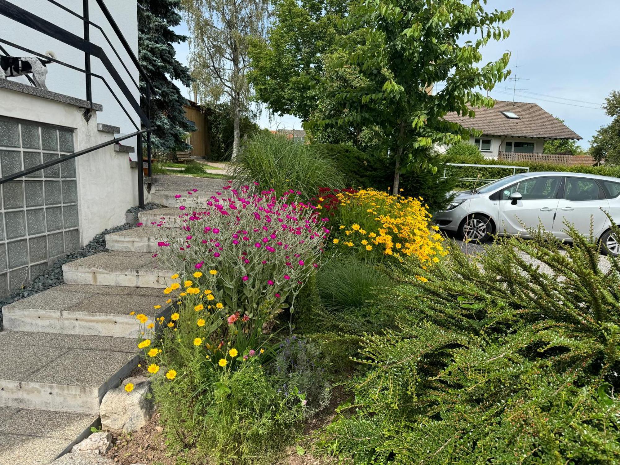 Haus Waldeck Lägenhet Ühlingen-Birkendorf Exteriör bild